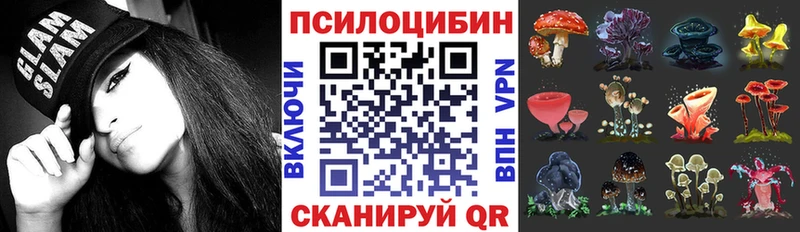 Галлюциногенные грибы MAGIC MUSHROOMS  сколько стоит  OMG сайт  Реж 